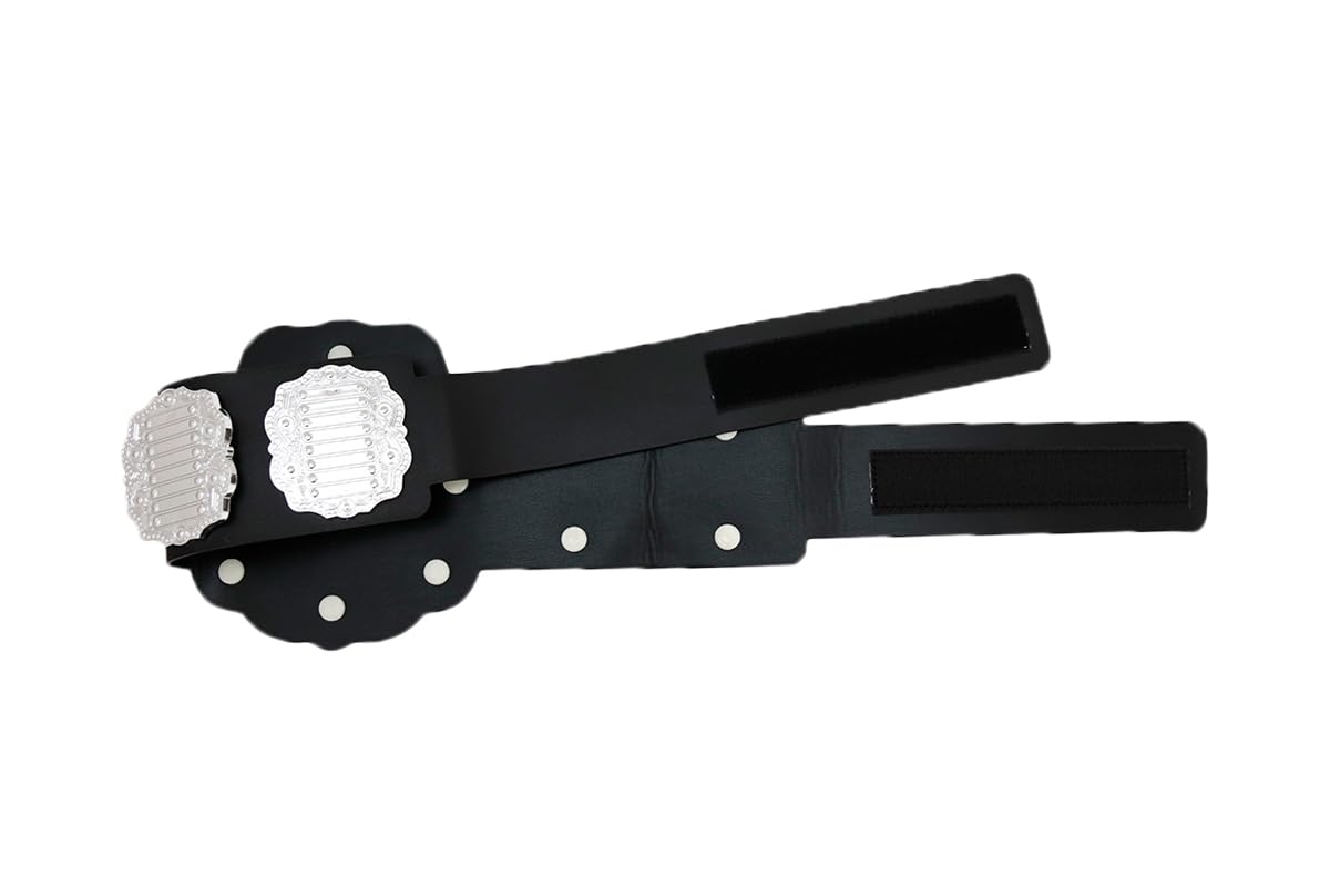 Amazon.co.jp: 新日本プロレスリング IWGP ジュニアヘビー級